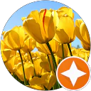 fakruddin pasha profile picture